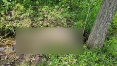 KRVOPROLIĆE U SJENICI! Čopor pasa upao u domaćinstvo, rastrgli 15 ovaca!