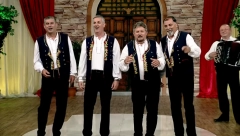 STOKA USTAŠKA MALTRETIRA CEO SVET Fašistički kompleksaši se opet iživljavaju nad Srbima!