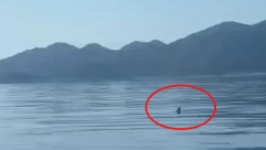 ODMAH SU ZGRABILI KAMERU DA SNIME Osvanuo zastrašujuć prizor u Neretvanskom kanalu (VIDEO)