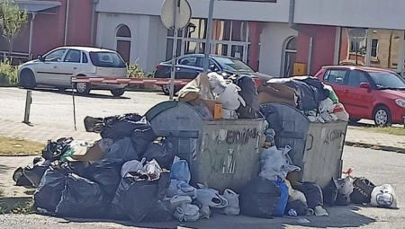 KONTEJNERI PUNI SMEĆA, PACOVA SVE VIŠE I VIŠE! Jeziv prizor u Kragujevcu - građane brine ZARAZA! (FOTO)