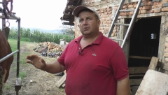 BATA PIROĆANAC JE "KOZMETIČAR" ZA KRAVE! Kad odradi pedikir Cvetulji i Šarulji nema zime! (FOTO)