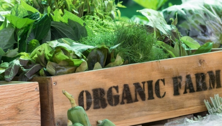 ORGANSKA HRANA ZAHTEVA POSEBAN NAČIN PROIZVODNJE Samo određeni pesticidi mogu da se koriste