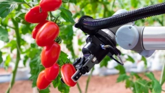 POLJOPRIVREDNICIMA STIŽE POMOĆ Robot sve radi sam