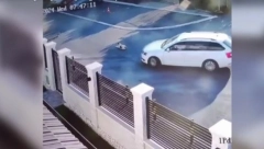 ŽENA NAMERNO PREGAZILA PSA NA BEŽANIJSKOJ KOSI: Kamere je snimili, pas na hitnoj operaciji! (UZNEMIRUJUĆI VIDEO)
