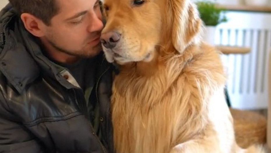 "HEJ, ŽUĆO, PAZI ŠTA RADIŠ!" Novosađani došli na simpatičnu ideju da vlasnicima pasa skrenu pažnju