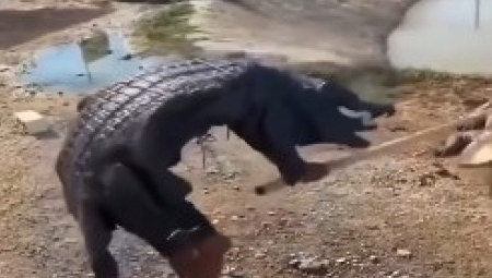 LJUDI MOJI, ŠTA RADI OVAJ ČOVEK? Ako vam je trebao odgovor na pitanje zašto žene žive duže od muškaraca, ovo je to!