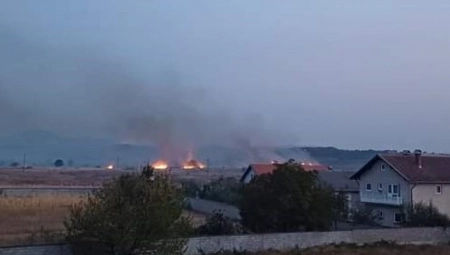 VATRA ZAHVATILA NEKOLIKO VIKENDICA Veliki požar kod Sremske Mitrovice, šteta ogromna