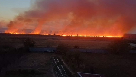 POŽAR KOD KLADOVA GUTA SVE PRED SOBOM Izgorelo preko 30 hektara rastinja, 200 košnica, vatra ide ka solarnoj elektrani