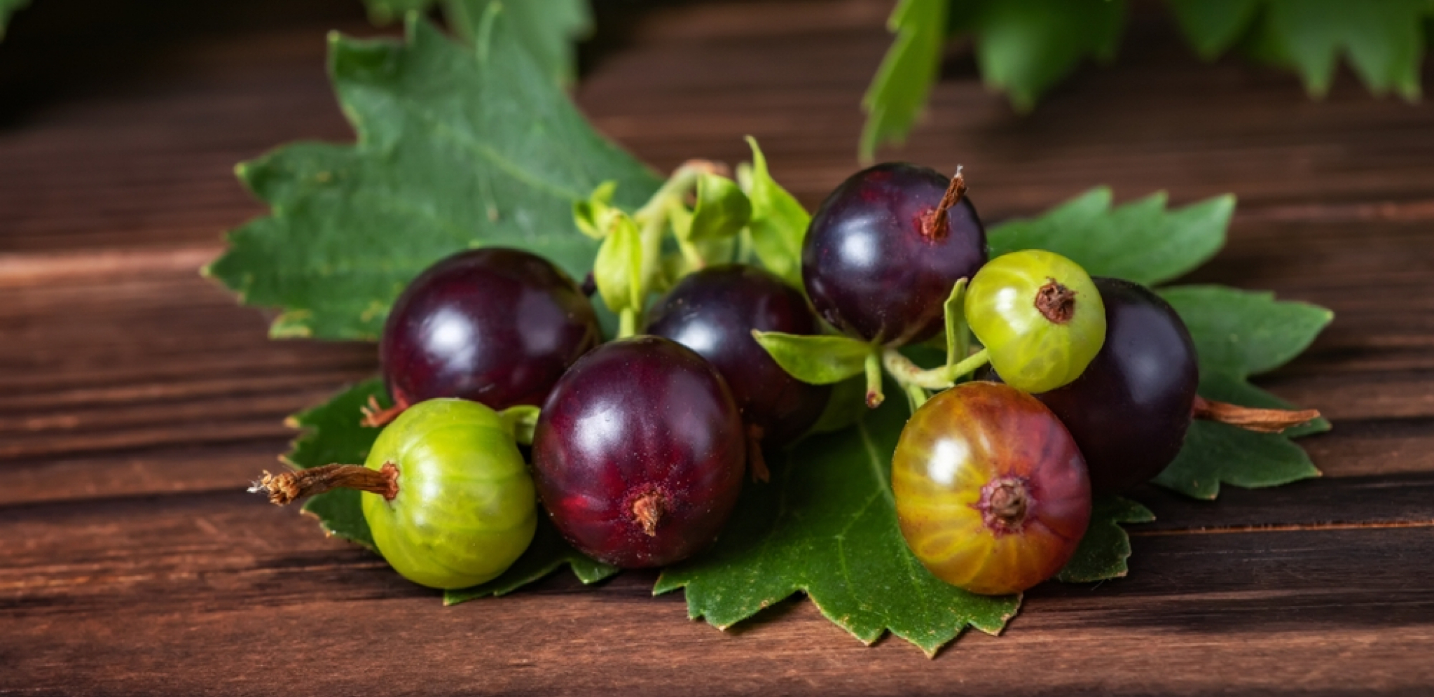 Voćka za koju niste čuli donosi paprenu zaradu: Košta 5 evra po kilogramu, u Evropi je obožavaju