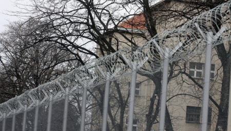 PEDOFIL SILOVAO DETE V. A.  je u Višem sudu u Novom Sadu osuđen  na 11 godina i šest meseci zatvora