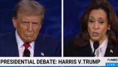 NAJVEĆE NEBULOZE UOČI PREDSEDNIČKIH IZBORA U SAD: Pet najapsurdnijih teorija zavere – od jela pasa do odnosa na sofi