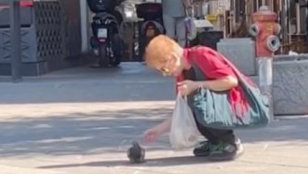 DIRLJIVA SCENA SA TERAZIJA, SRCE DA TI SE OTOPI! Bakica pomogla nepokretnom golubu! (VIDEO)