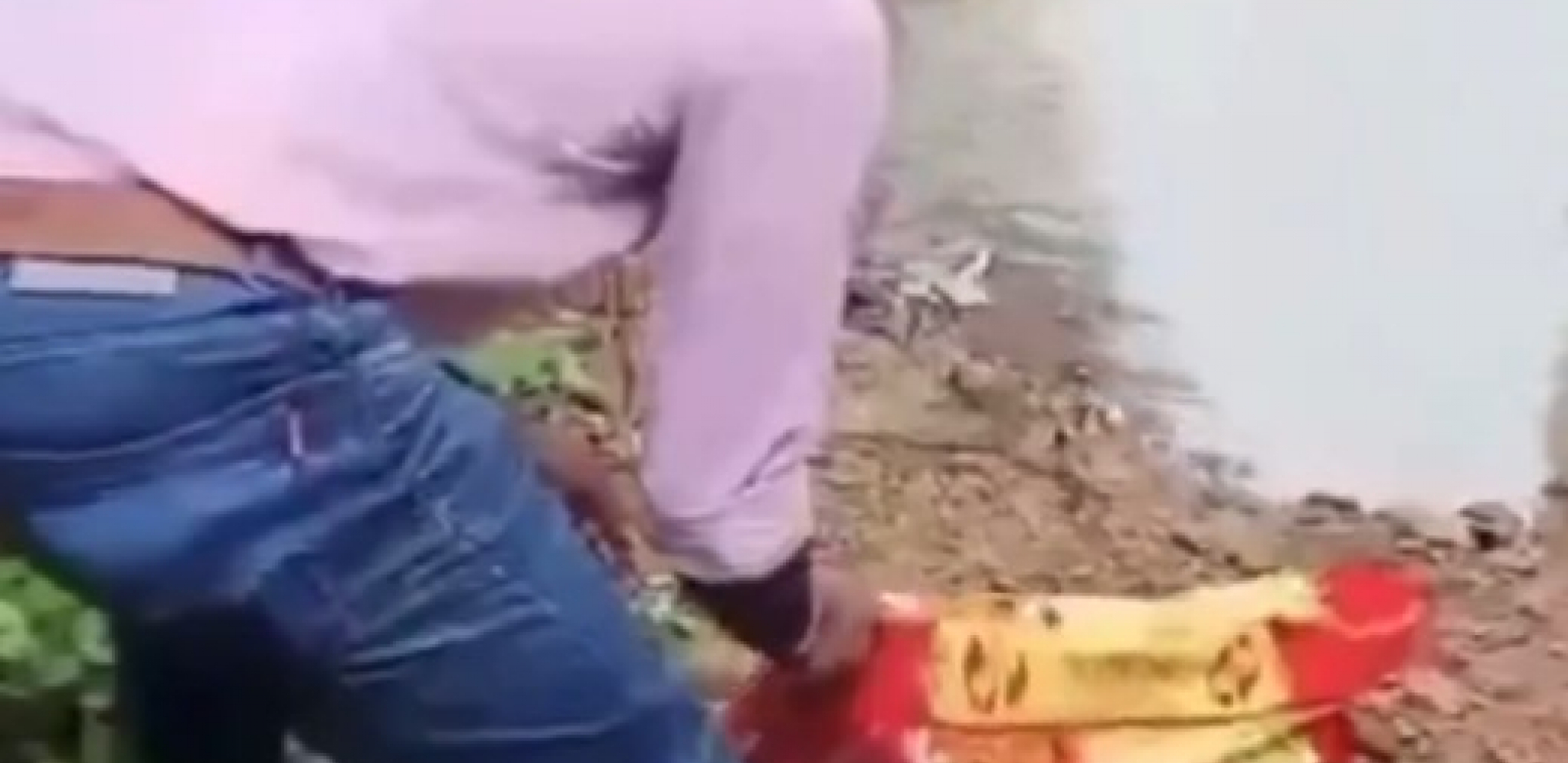 RADNIK OTVORIO KUTIJU SA KROMPIROM, PA ZATEKAO DIVLJU ZVER Osoblje hotela se razbežalo u panici, nastao opšti haos! (VIDEO)