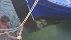 SNIMAO FILM ZA ODRASLE, PA GA UGRIZLA KORNJAČA ZA NEZGODNO MESTO Mušakrac odmah uskočio u vodu, desilo se ovo