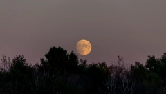 VEČERAS STIŽE DELIMIČNO POMRAČENJE MESECA, 18. SEPTEMBAR JE KLJUČAN Ljubavna situacija klimava za neke znake Zodijaka, evo šta je sa ostalima