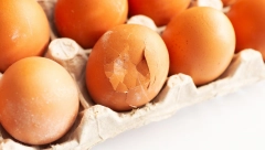 KOLIKO JE OPASNO JESTI NAPUKLO JAJE? Evo da li možete dobiti salmonelu i šta treba da uradite ako se polome u kutiji