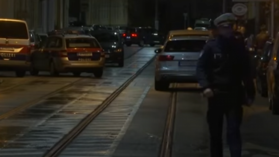 STRAVA I UŽAS U AUSTRIJI Tinejdžer (14) SEKIROM UBIO starijeg brata (36)