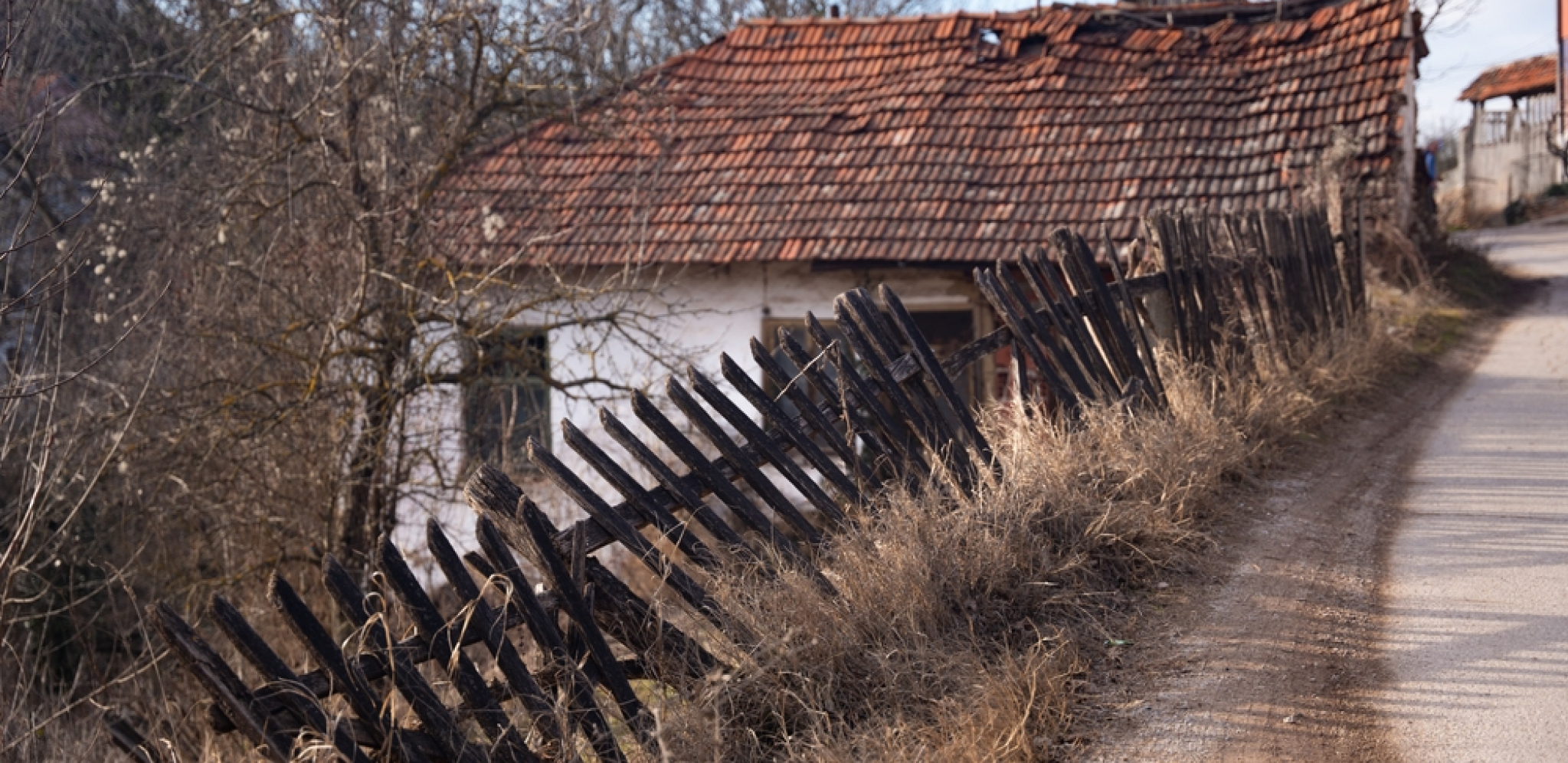 PORODICA U LATKOVCU TOKOM DRUGOG SVETSKOG RATA SKRIVALA JEVREJSKU BEBU Kneževiće i Ilana nakon 6 decenija spojila sudbina,  a sve je krenulo od pisama!