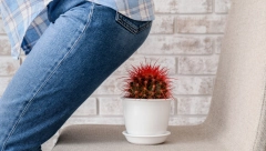 NEĆETE MOĆI DA SEDNETE ZBOG BOLOVA, A SVE ZBOG JEDNE STVARI Ova navika stvara nepodnošljive probleme, odmah preduzmite nešto