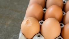 SALMONELA NA FARMI: Povlače se jaja iz poznatog trgovačkog lanca u Hrvatskoj