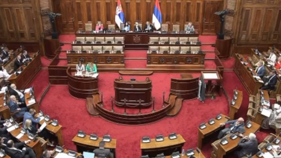 BRUKA U SKUPŠTINI Ponošev poslanik optužuje Vladu, ne zna pravila parlamenta (VIDEO)