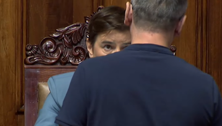 ĆUTO, NIJE TI OVO UTAKMICA! Lažni ekolog prišao Ani Brnabić i počeo da se svađa, KAMERE SNIMILE SKANDAL U SKUPŠTINI (FOTO)