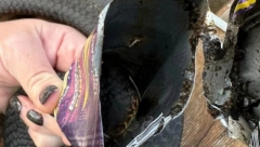 OTROVNICA SE ZAGLAVILA U LIMENCI Hrabra žena preuzela rizik na sebe, pa postala heroj na društvenim mrežama!