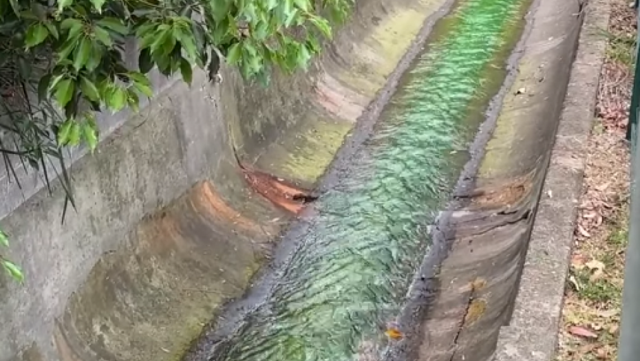 VODA JE ODJEDNOM PROMENILA BOJU, POSTALA JE ZELENA! Meštani ovog mesta hitno zvali službe: Da li je opasno!? (VIDEO)