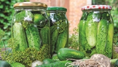 KISELI KRASTAVČIĆI Zdravija verzija omiljene sezonske salate, za gurmane i one izbirljive