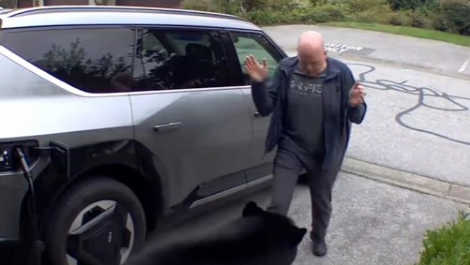 DIVLJA ZVER SE UŠUNJALA U GARAŽU, U BLIZINI JE BILO I MLADUNČE Krenula da napadne čoveka, on doživeo šok života! (VIDEO)