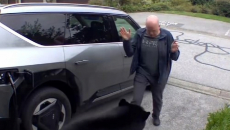 DIVLJA ZVER SE UŠUNJALA U GARAŽU, U BLIZINI JE BILO I MLADUNČE Krenula da napadne čoveka, on doživeo šok života! (VIDEO)