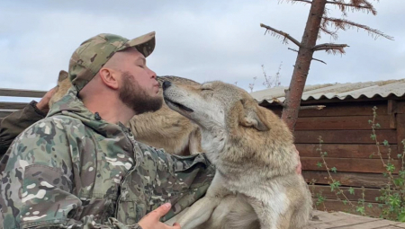 VUKOVI POSLATI DA SE BORE ZA PUTINA U UKRAJINI: Otkriveno kako će ovi predatori pomoći vojnicima!