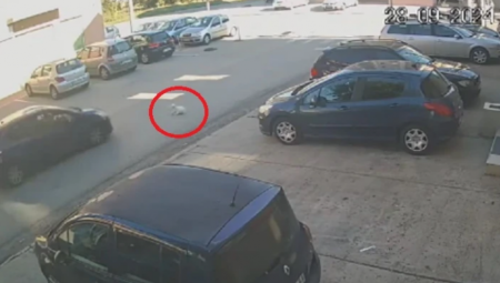 (UZNEMIRUJUĆI SNIMAK) PREGAZIO PSA NA ALTINI PUNOM BRZINOM Građani besni, ali krive i VLASNICU (VIDEO)