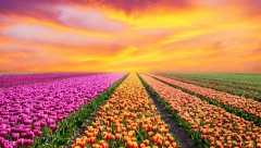 HOROSKOP ZA UTORAK, 01. OKTOBAR: Blizancima komplikacije na poslu, Strelcu problem sa novcem, Škorpiji prolazni umor