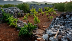 OVO MESTO IMA JEDNOG STANOVNIKA Otvorio restoran i čeka goste