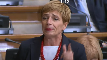 OPOZICIONA POSLANICA PODRŽALA PREDLOG VLASTI Teoretičarka zavera pritisnula taster "DA" i podržala rebalans budžeta