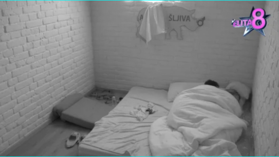 TERZA I SOFIJA ZAVRŠILI U KREVETU! Javno prevario trudnu verenicu, gledaoci zgroženi nakon intimnih scena!