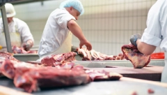 PRODAJE SE JUGOSLOVENSKI GIGANT Čuvena fabrika ide na doboš – tu je i cena