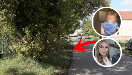 "NISAM IH VIDEO, IZVINITE" Evo šta je rekao vozač koji je pokosio majku i bebu u Batajnici (FOTO)