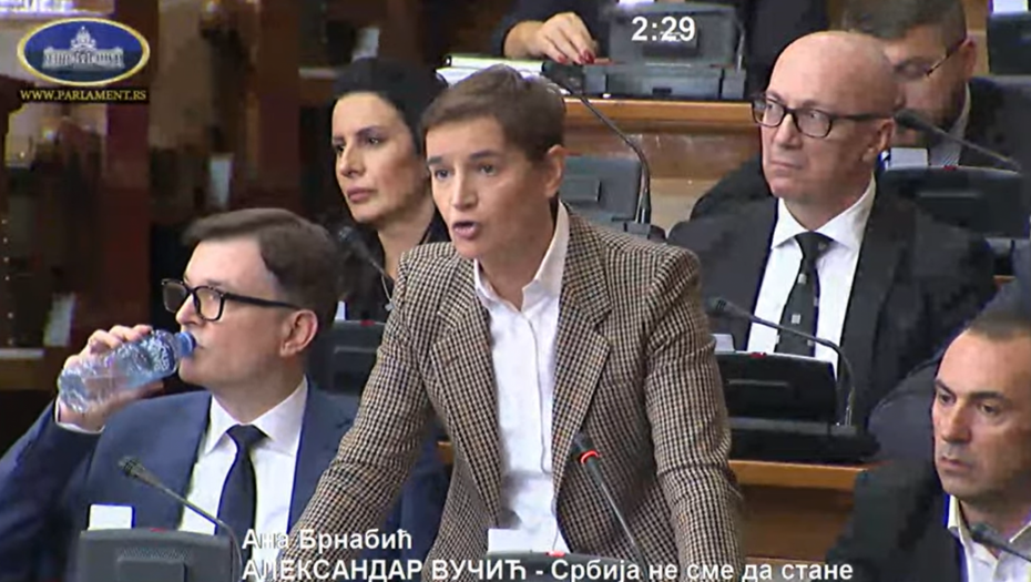 I ŠTA SAD?! Brnabić pročitala stenogram iz 2006: Zakon o rudarstvu menjan zbog Rio Tinta!