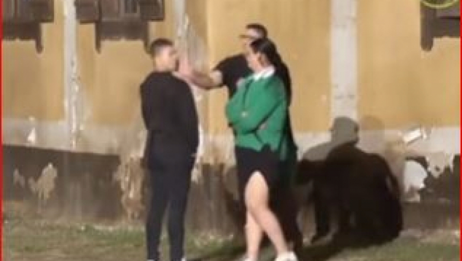 "HITNA DISKVALIFIKACIJA!" Kristijan Golubović žestoko ošamario cimera, traži se stroga kazna!