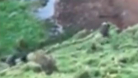 OTAC I TROJE DECE NESTALI PRE 3 GODINE Sada ih je kamera slučajno snimila kako tumaraju kroz žbunje! (VIDEO)