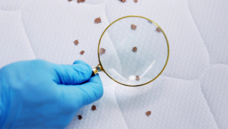 IZBACITE BUBE IZ KREVETA Ova metoda jednim potezom detektuje štetočine, rešava ih u tren oka