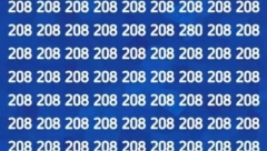 DA LI VAM JE PAMET JAČA STRANA Samo natprosečno inteligentni mogu za manje od 15 sekundi da uoče drugi broj na ovoj slici