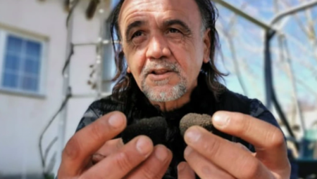 OVO MOŽDA IMATE U DVORIŠTU, A NEMATE POJMA Potražnja je ogromna, vrede pravo bogatstvo