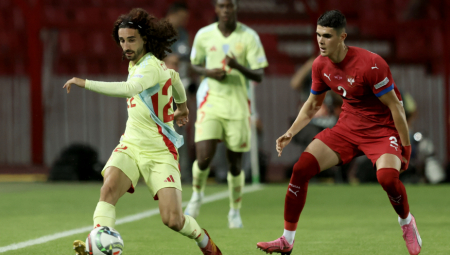 "ŽENA SE SUOČILA SA NJIMA" Gledao sa suprugom meč Srbije, dok su mu lopovi bili u kući