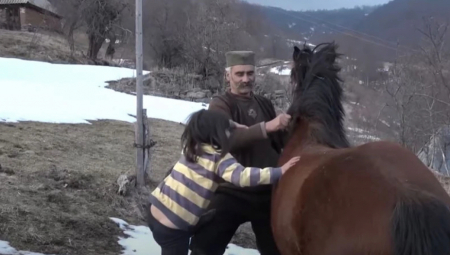 GORŠTAK SA GOLIJE POKLANJA SVOJE IMANJE Povukao drastičan korak, OVO JE JEDINI USLOV ZA BESPLATNIH 10 ARI ZEMLJE