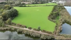 PALIĆKO JEZERO PREKRIVENO ZELENOM POVRŠINOM! Građani u šoku gledaju, stručnjaci objašnjavaju o čemu je reč