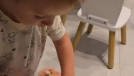 PRESLADAK DEČAK OBORIO SRBIJU NA NOGE Umesto da slaže kockice, on uzme plišano prase pa naravi ovo - genijalno! (VIDEO)