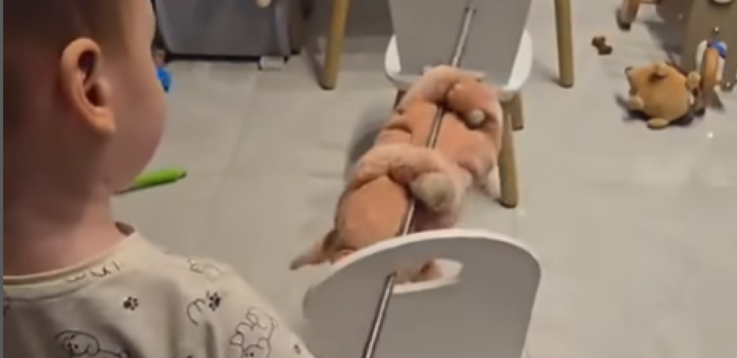 BALKAN MU U KRVI! Vegani na aparatima, snimak dečaka kako radi OVO zapalio mreže! (VIDEO)